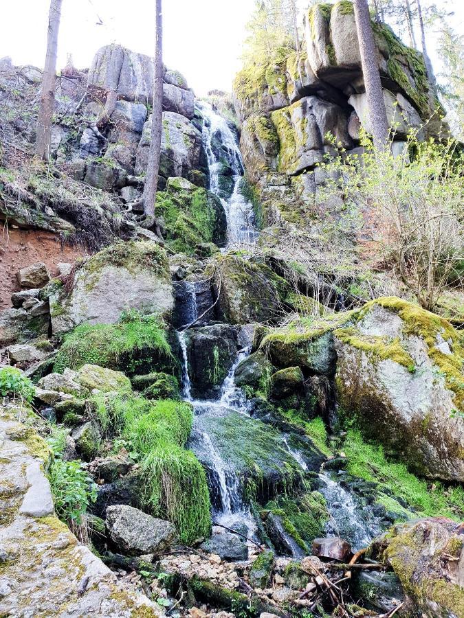 Fewo Kloeppel Auersbergblick Eibenstock Exteriér fotografie